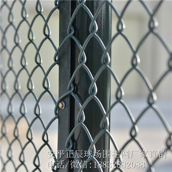 球場(chǎng)扁鐵圖片